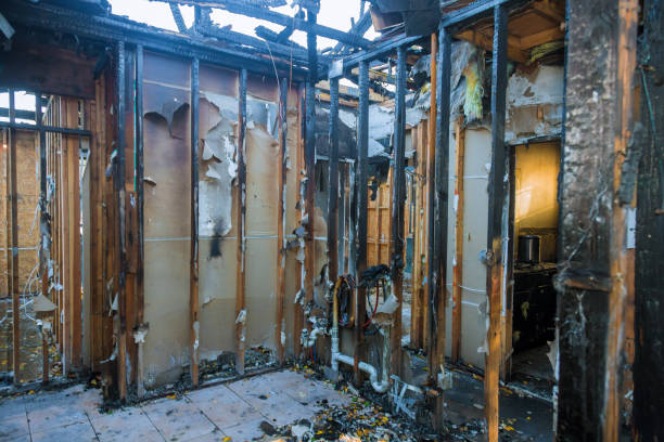 Professional Odor Removal technician working in Oregon, IL